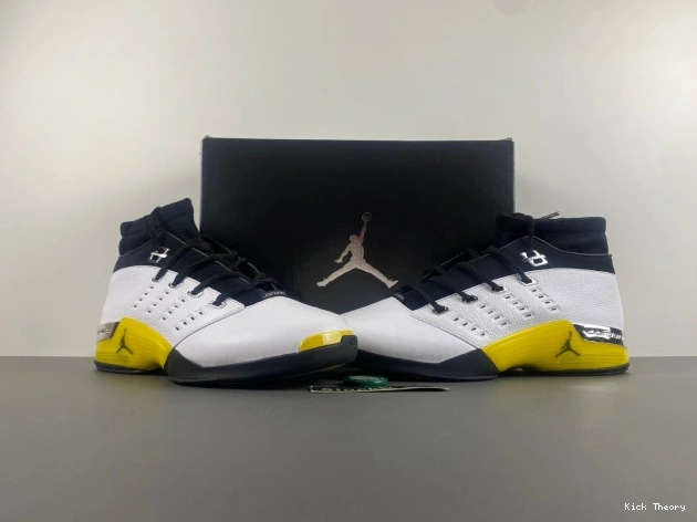 Kicktheory FJ0395-100 Lightning Jordan Low Air 17 0815
